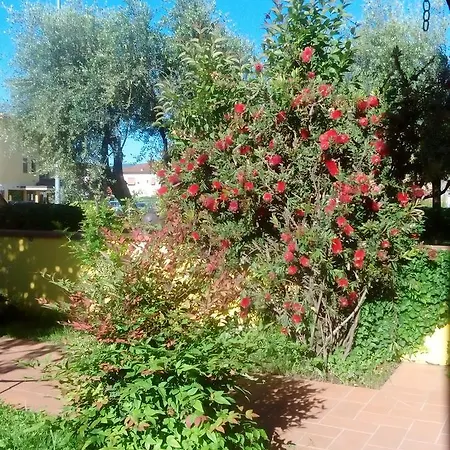 Bed & Breakfast Emma Lucca
